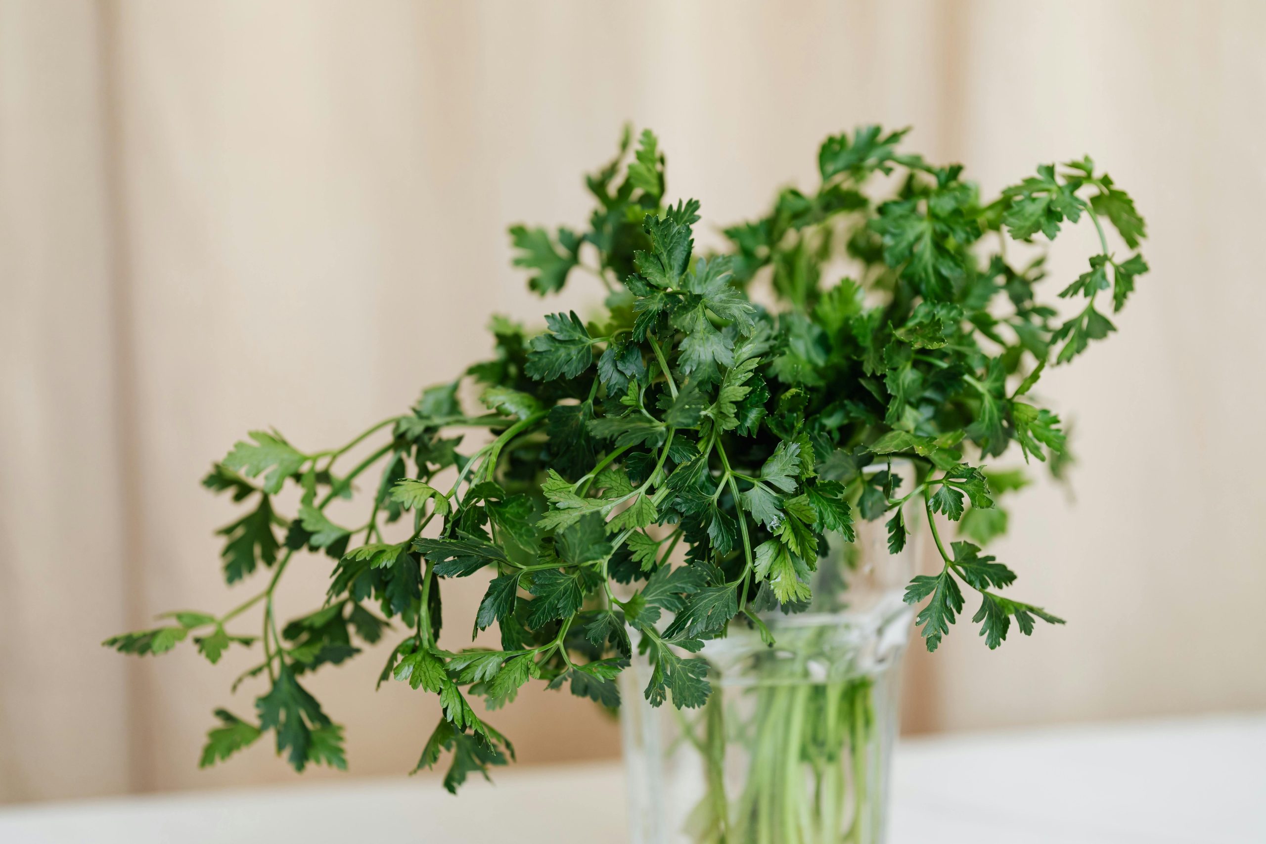Go Green with Ease—Earth Day at The Laureate
