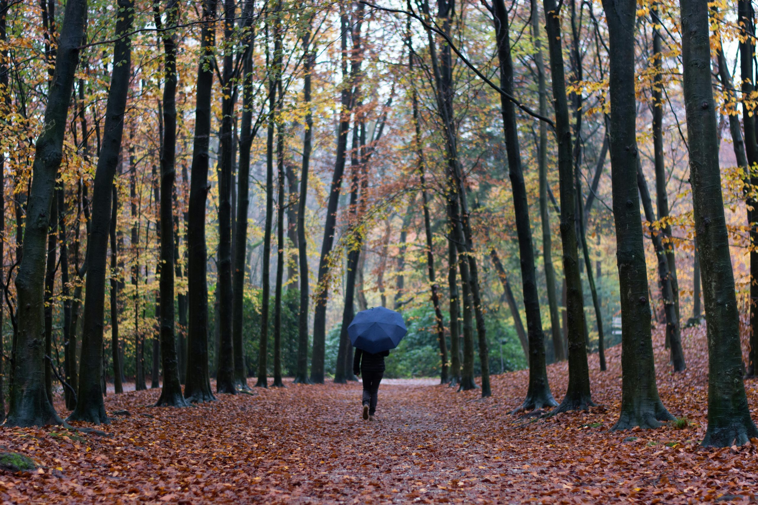 October Adventures Near The Laureate